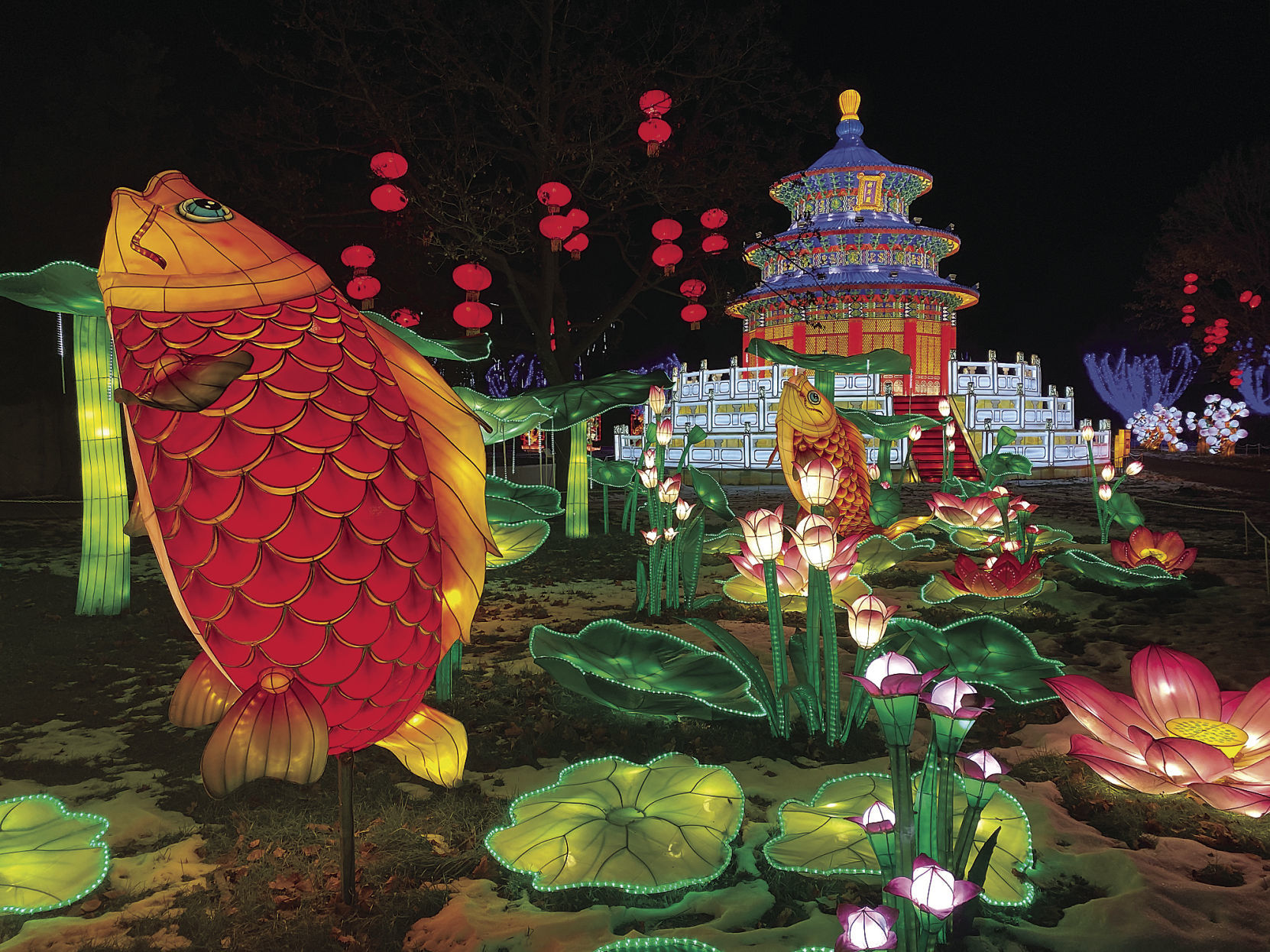 Lantern Festival 3